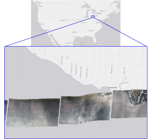 Hyperspectral Detection of Algae Blooms