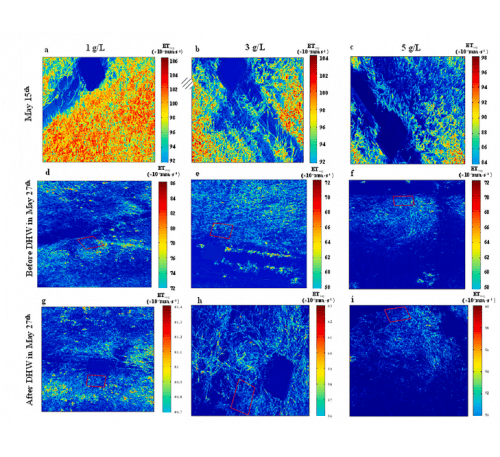 Hyperspectral Imaging of Wheat