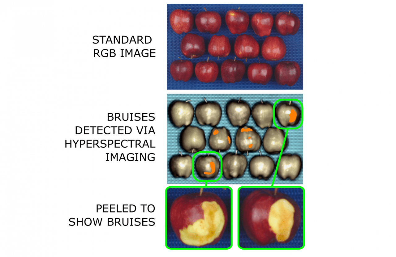 Hyperspectral classification of bruising on apples