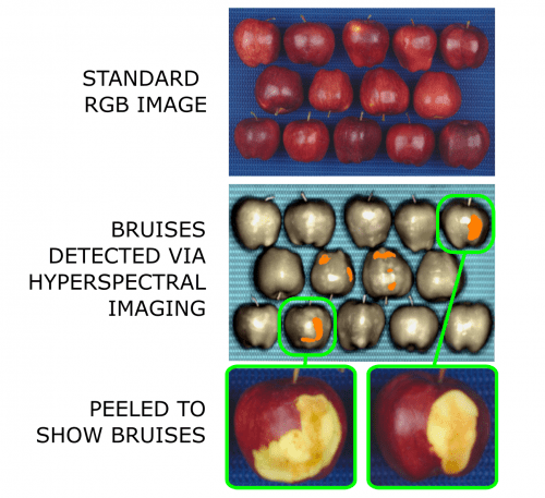 Hyperspectral classification of bruising on apples