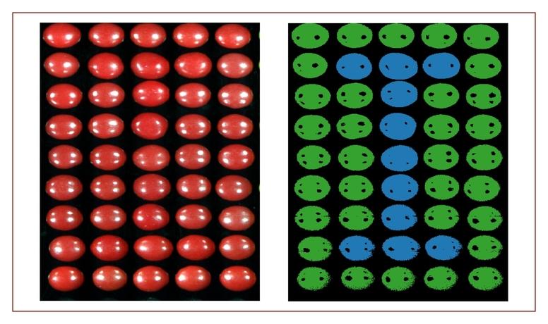 Image of different red candies as seen by the naked eye and classified via hyperspectral imaging.