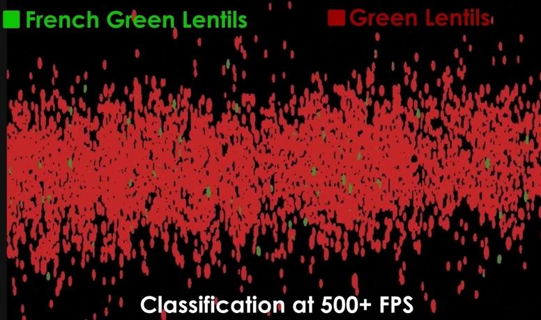 Screencap from Resonon's RVS software sorting french green lentils from green lentils scanned by the new Pika L-F at ove