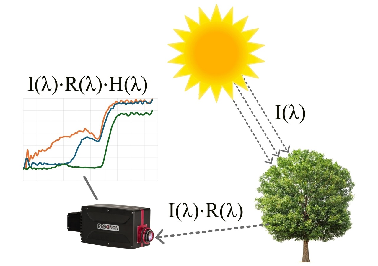 Figure 1: Example showing illumination source, object being scanned, hyperspectral imaging sensor and hyperspectral imaging data.