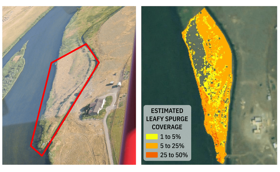 Figure 1: Photograph taken from piloted aircraft during hyperspectral imaging (left) and map of estimated leafy spurge coverage created from hyperspectral imaging data