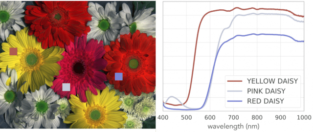 Hyperspectral data of flowers from a Pika XC2 hyperspectral camera.