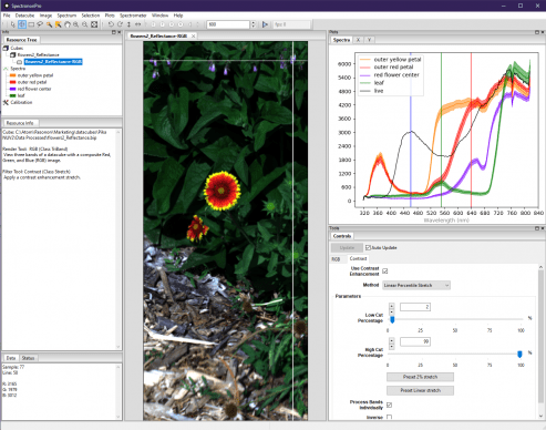 Ultraviolet hyperspectral image of a calendula flower using Resonon's outdoor hyperspectral imaging system.