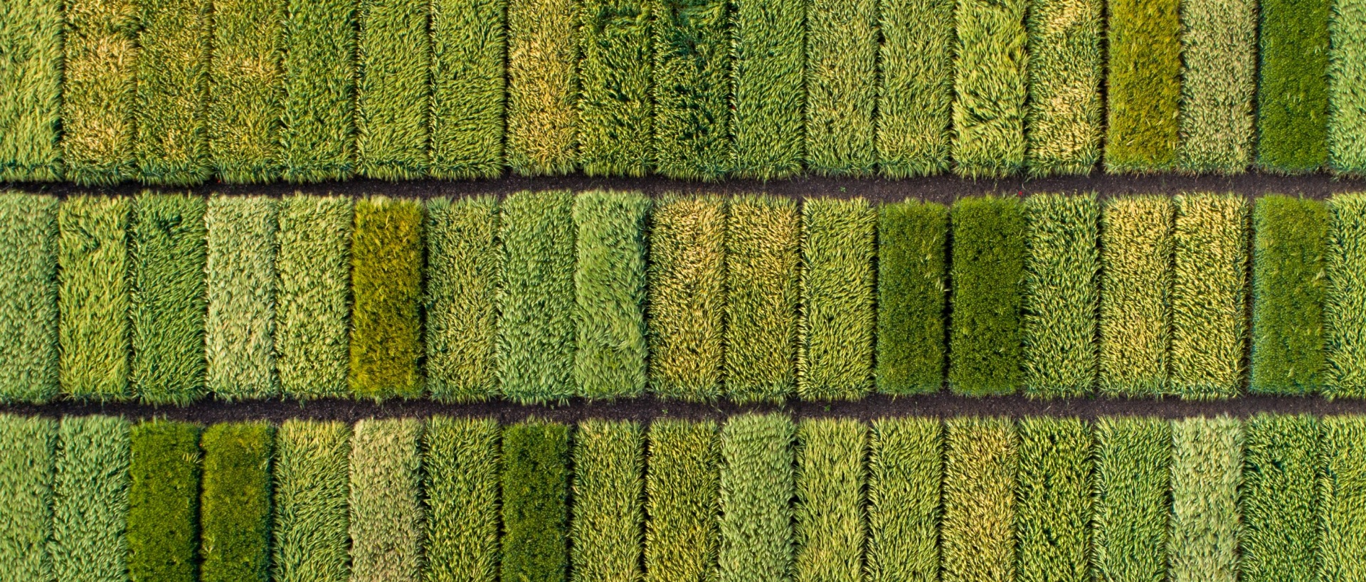 Hyperspectral Imaging Agricultural Crop Test Plots from Above