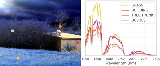 Hyperspectral data of trees, bushes, grass, building from a Pika SWIR