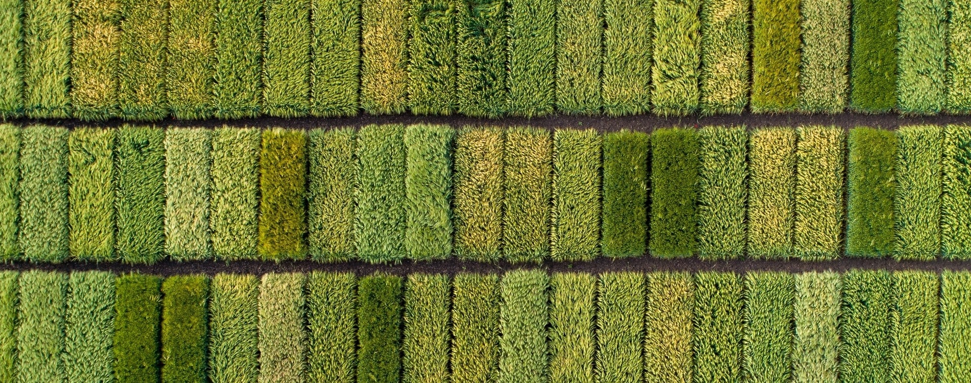 Hyperspectral Imaging Agricultural Crop Test Plots from Above