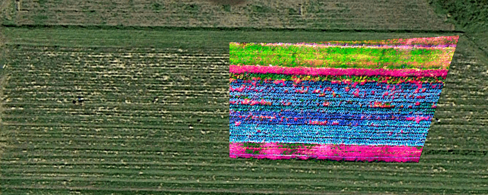 Hyperspectral Imaging Application | Resonon